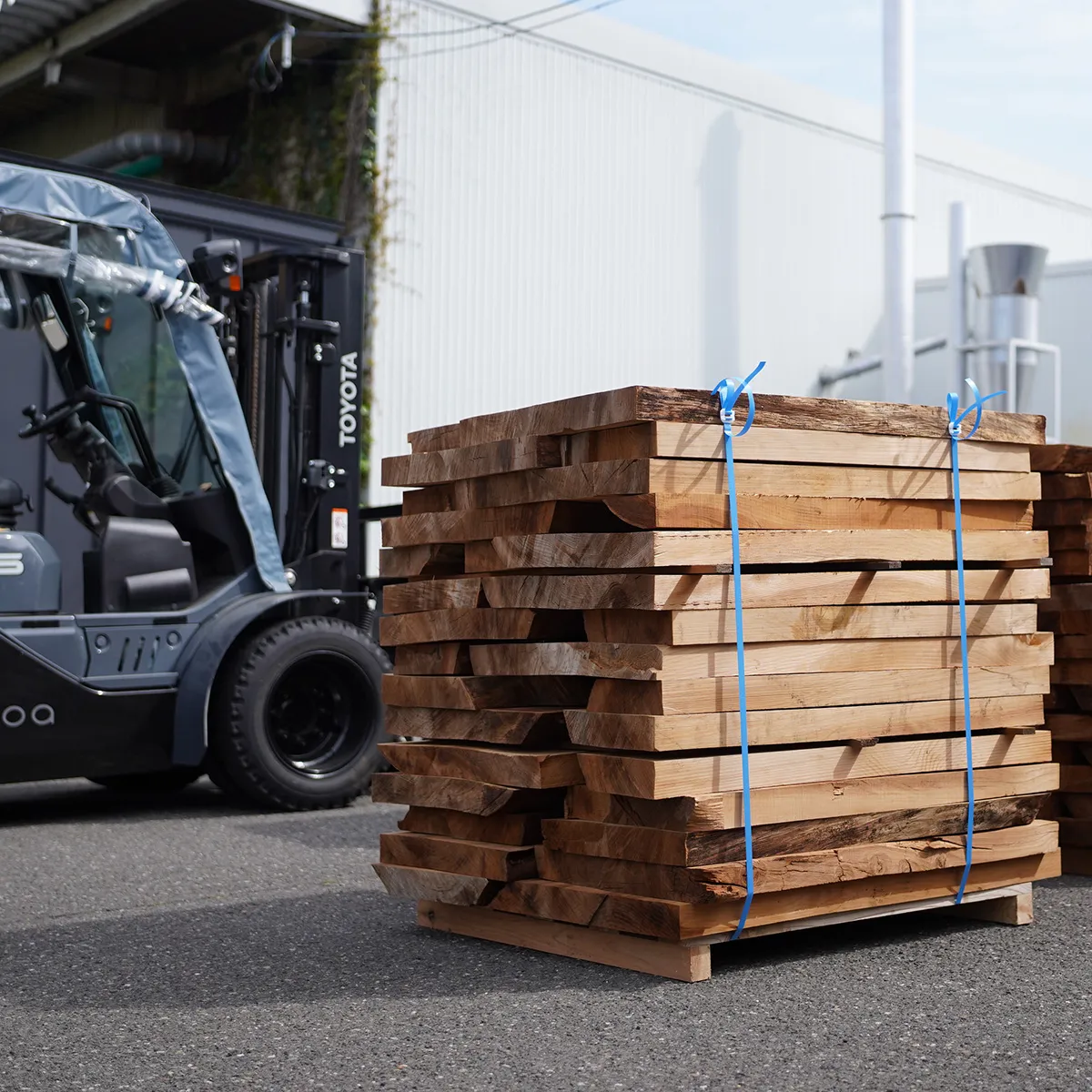 ヒマラヤスギ活用プロジェクト